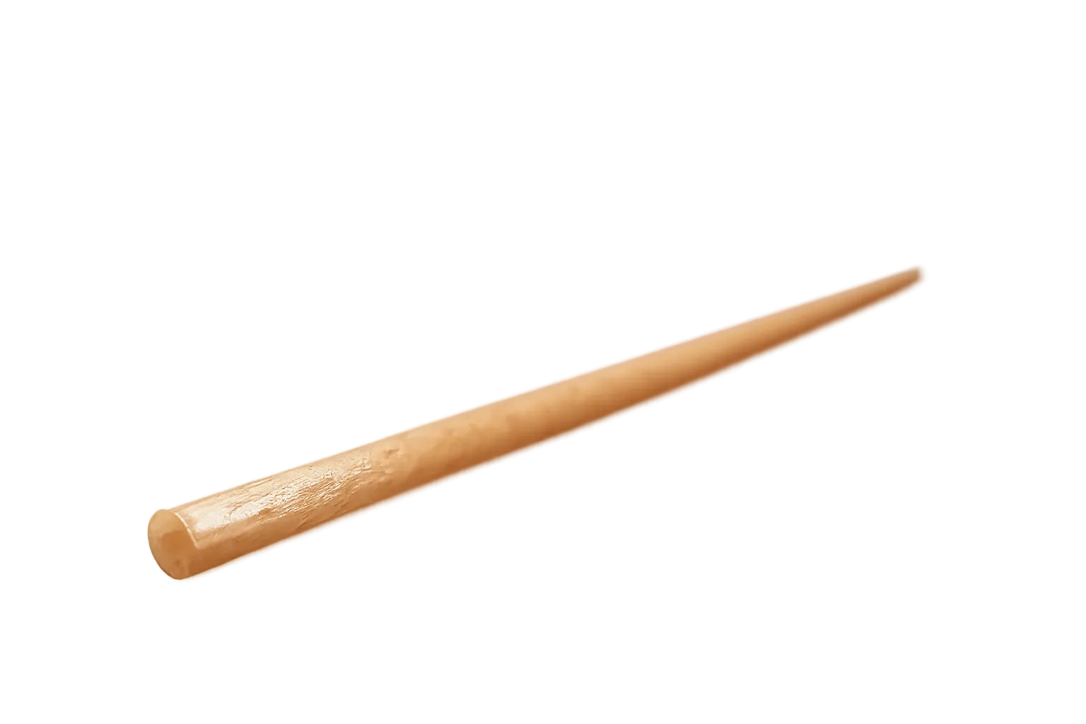 slamica 1_transparent